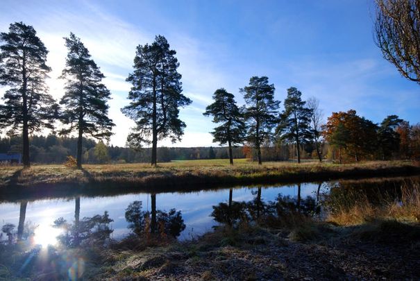 Fellingsbro: Solig tvåa med balkong i söder - Photo 1