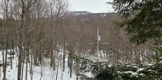 Sutton - Joli 4½ au dernier étage, à louer à l’année, 1500$/mois. - Photo 2