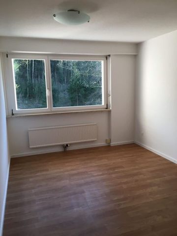2.5 Zimmer, 57 m², 10. Stock - Photo 4