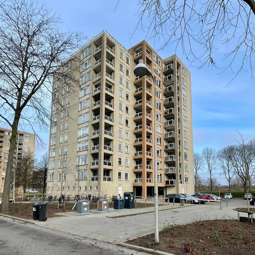 Appartement te huur: Hermelijnvlinder 41 1113 LC Diemen - Foto 1