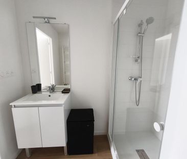 Location Appartement 1 pièce Meublé 17m² NANTES 44300 - Photo 3