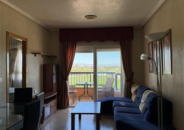 Alquiler de piso en Avenida de la Constitución