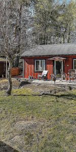 Blåhakeslingan, Ingarö - Foto 4