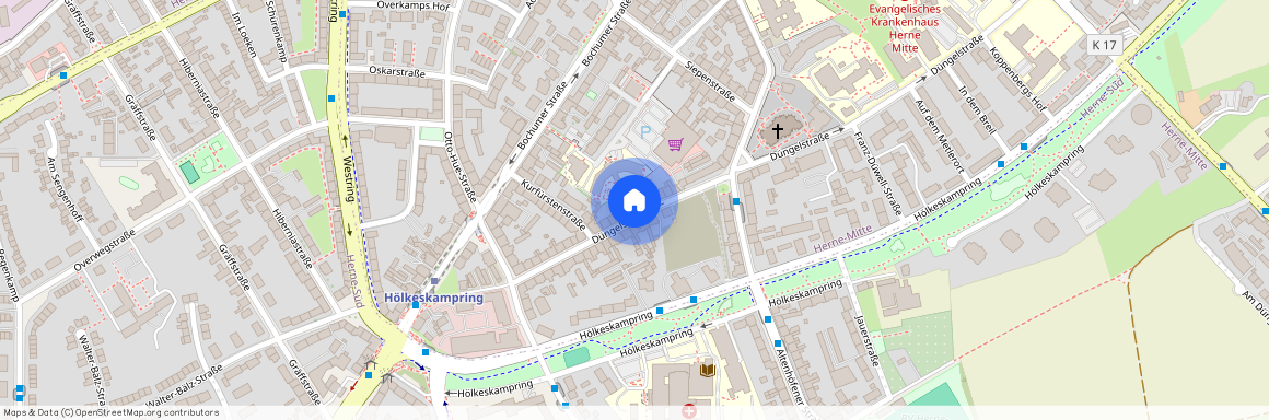 Düngelstraße 62, (Herne-Süd), 44623 Herne