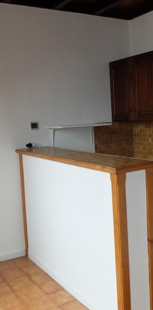 Location Appartement 1 pièce 25m² GRENOBLE 38000 - Photo 1