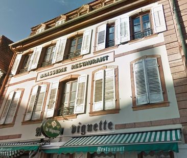 Location Appartement 2 pièces 50m² WISSEMBOURG 67160 - Photo 4