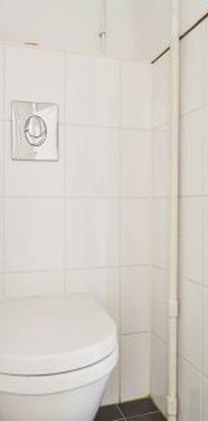 Limietlaan 5216 JJ 's-Hertogenbosch - Foto 1