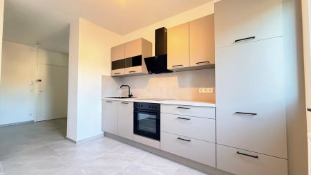 Generalsanierte 2-Zimmer-Wohnung mit Loggia zur Miete - Foto 3