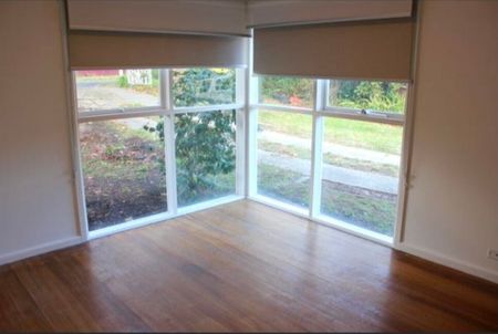 Frankston South - Photo 3