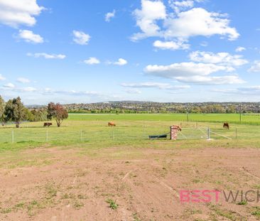 Brand New Fully Furnished 2-Bedroom Granny Flat - Photo 4