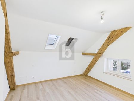 FIRST-TIME OCCUPATION AFTER RENOVATION - Photo 3