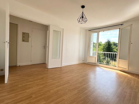 Location Appartement 1 pièce 28m² LIMOGES 87000 - Photo 1