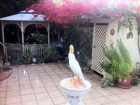 Telopea - Photo 4