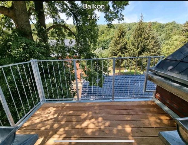 sanierte 3-Raumwohnung in Chemnitz-Harthau - mit großem Garten - Foto 1