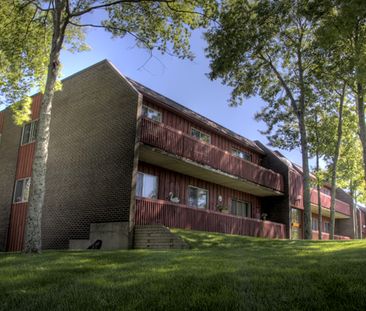 One Bedroom - Photo 6