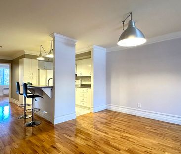 1322 Rue La Fontaine, Montréal (Ville-Marie), QC H2L - Photo 2