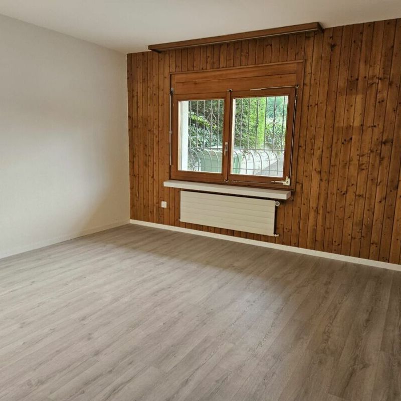 Freistehendes 5.5-Zimmer-Einfamilienhaus mit Nebenräumen à 35 m2 und Doppelgarage. - Foto 1