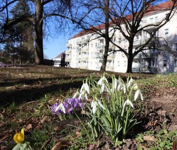 Erdgeschoss-Wohnung mit bodengleicher Dusche - Photo 5