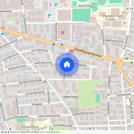 Grünmattweg 7, 8500 Frauenfeld