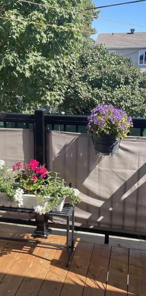 Logement 4 1/2 - Photo 1