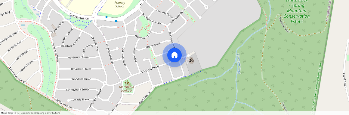 55 Tea Tree Avenue, Qld 4300, Springfield Lakes