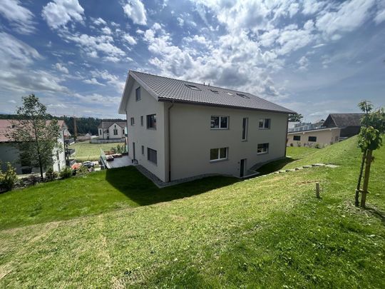 Beautiful 3.5 room apartment in Mannens with beautiful terrace and private garden - Photo 1