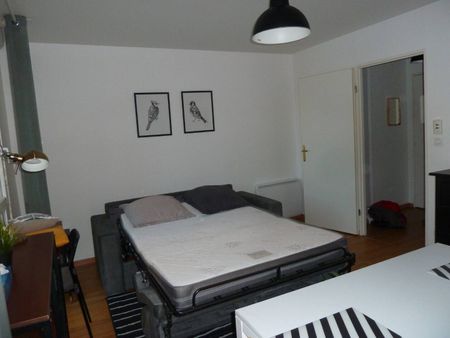 Le nid de Zola - Photo 4