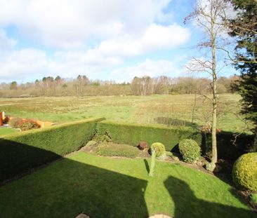 3 bedroom detached house to rent - Photo 6