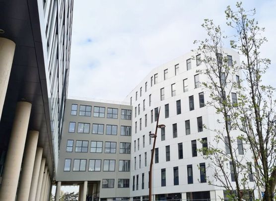 Location Appartement 1 pièce 21m² PALAISEAU 91120 - Photo 1