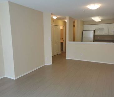 all new appliances new floor one bedroom apartment Maple Ridge - Photo 1