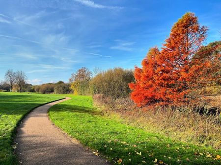 3 bedroom semi-detached house to rent - Photo 2