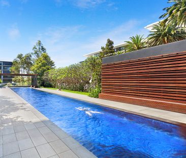 4402/6 Alexandra Drive, Camperdown NSW 2050 - Apartment For Rent | ... - Photo 4