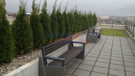 Centrum, ul. Mariana Langiewicza, Szczecin - Фото 3