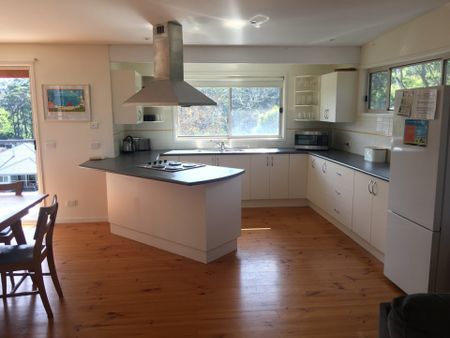 1 Banyandah Street, South Durras NSW - Photo 3