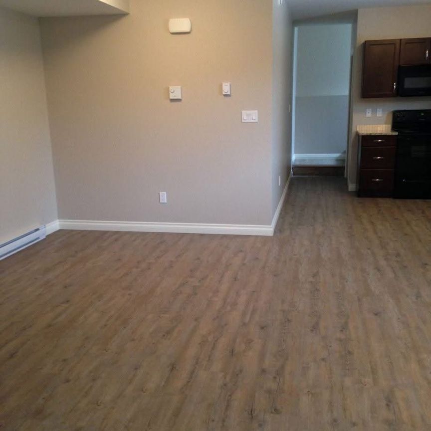 Sidhu Suite, Lower Available July 1, 2026 - Photo 1