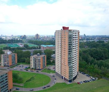 Hoge Filterweg 362, 3063KH Rotterdam - Foto 6