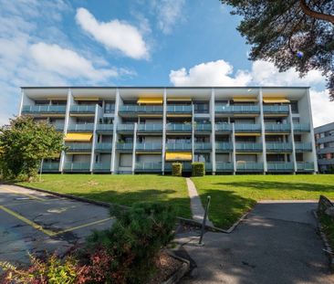 1.5 Zimmerwohnung in Düdingen zu vermieten! - Photo 2