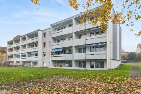 3.5 Zimmer, 67 m², EG - Foto 4