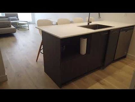 BRAND NEW CONSTRUCTION, MODERNE & SPACIOUS, ST HENRI/ATWATER MARKET - Photo 4