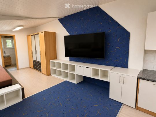 Tolle Singlewohnung - Foto 1