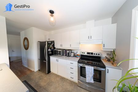 6193 Carré des Alluvions - Photo 4