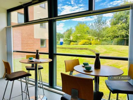 Studio to rent - Photo 2