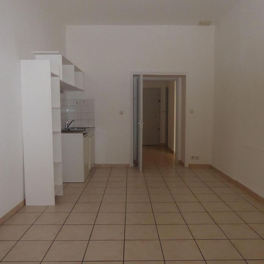 Location Appartement 2 pièces 45m² AUBENAS 07200 - Photo 1