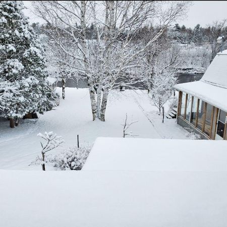 4 et demi Accepte animaux - Photo 3