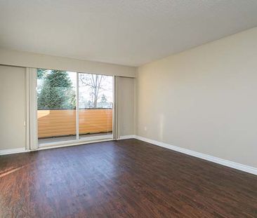 The Westport Apartments - 1 Bedroom - Photo 3