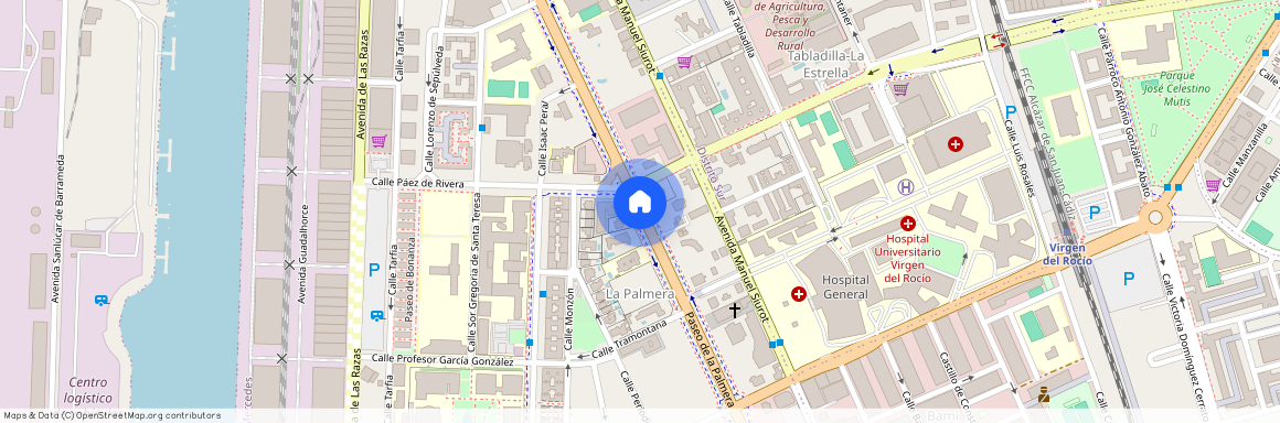 Avenida de la Palmera, Sevilla, Andalusia 41013