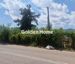 Μονοκατοικία για ενοικίαση - Αφίδνες, - Photo 1