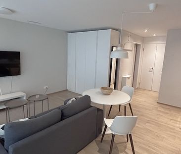 1½ Zimmer-Wohnung in Neuhausen am Rheinfall (SH), möbliert, auf Zeit - Foto 1