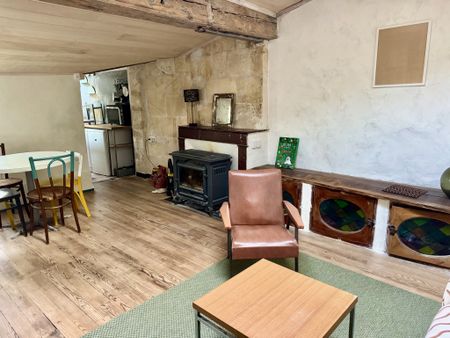 Location Appartement 1 pièce 52m² BORDEAUX 33000 - Photo 4