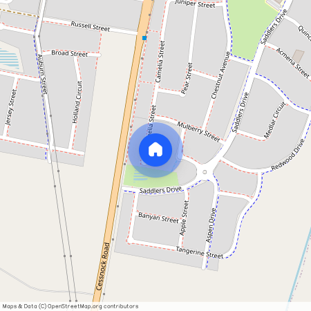 43 Camelia Street, NSW 2321, Gillieston Heights